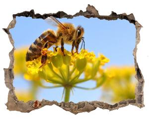 Samolepící díra Včela na květině nd-k-83831573