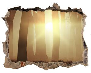 Nálepka fototapeta 3D výhled Mlha v lese nd-k-84176608