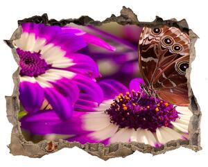 Samolepící díra na stěnu Motýl na květině nd-k-84885251