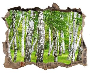 Nálepka fototapeta 3D výhled Břízový les nd-k-85613602