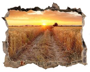 Nálepka fototapeta 3D výhled Pole pšenice nd-k-86490095