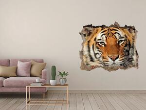 Díra 3D foto tapeta nálepka Bengálský tygr nd-k-88747131