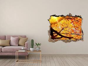 Samolepící díra na stěnu Koruna stromů podzim nd-k-89060594