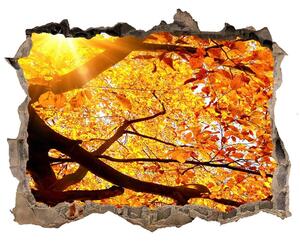 Samolepící díra na stěnu Koruna stromů podzim nd-k-89060594