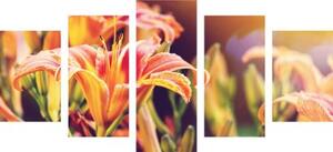 5-dílný obraz krásné kvetoucí květiny v zahradě - 100x50 cm