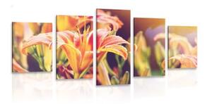 5-dílný obraz krásné kvetoucí květiny v zahradě - 100x50 cm