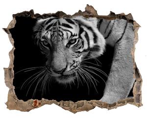 Díra 3D foto tapeta nálepka Tygr nd-k-89533463