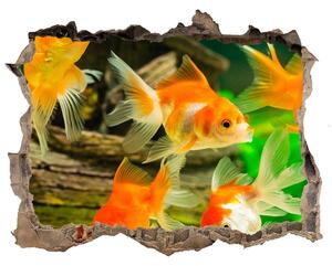 Díra 3D foto tapeta nálepka Zlaté rybičky nd-k-89540196