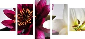 5-dílný obraz květiny v misce - 100x50 cm