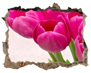 Samolepící díra na stěnu Růžové tulipány nd-k-90952565