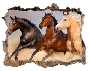 Díra 3D foto tapeta nálepka Koně ve cvalu nd-k-90824183