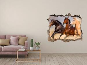 Díra 3D foto tapeta nálepka Koně ve cvalu nd-k-90824183