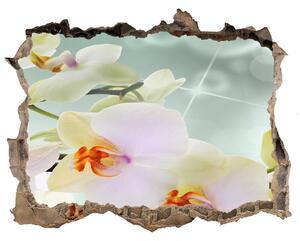 Samolepící díra nálepka Bílá orchidej nd-k-91133337