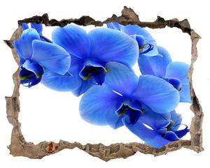 Samolepící díra nálepka Modrá orchidej nd-k-91549599