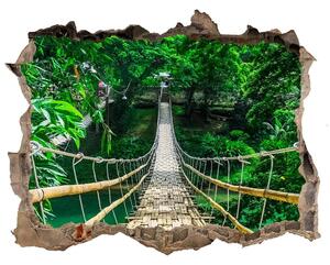 Fototapeta díra na zeď 3D Most tropickýá les nd-k-94521444