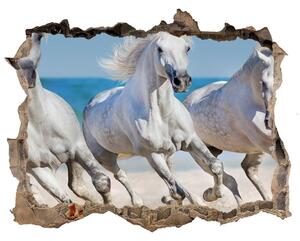 Nálepka fototapeta 3D Bílí koně pláž nd-k-95257914