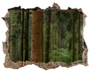 Fototapeta díra na zeď Mlha v lese nd-k-95353064
