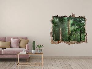Díra 3D foto tapeta nálepka Mlha v lese nd-k-95330664