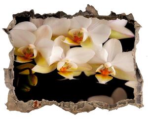 Nálepka fototapeta 3D výhled Orchidej nd-k-95410450