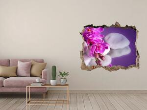 Fotoobraz díra na stěnu Orchidej nd-k-95985496