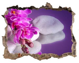 Fotoobraz díra na stěnu Orchidej nd-k-95985496