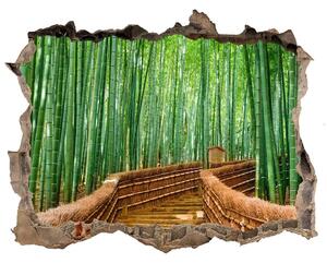 Díra 3D fototapeta na stěnu nálepka Bambusový les nd-k-97156437