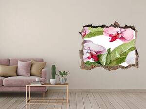 Nálepka díra na zeď Růžové orchideje nd-k-98952398