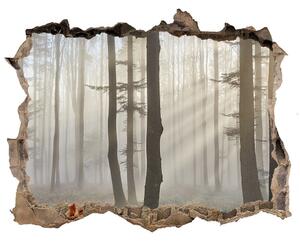 Nálepka 3D díra samolepící Mlha v lese nd-k-98968412