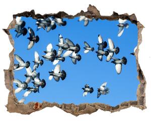 Samolepící díra na stěnu Stádo holubů nd-k-99282619