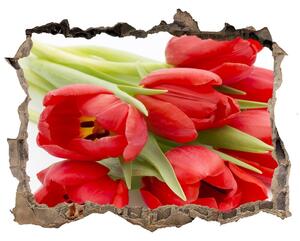 Samolepící díra na stěnu Červené tulipány nd-k-99817079