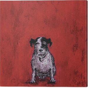 Obraz na plátně Sam Toft - Small Dog, (40 x 40 cm)