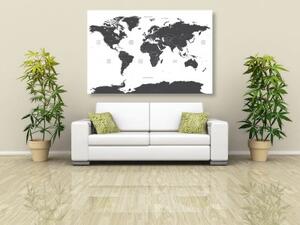Obraz mapa světa s jednotlivými státy v šedé barvě - 90x60 cm
