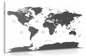 Obraz mapa světa s jednotlivými státy v šedé barvě - 120x80 cm