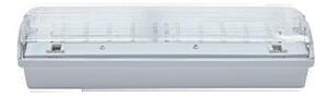 NBB CARLA-2 16 LED 230-240V 3h TP IP65 910107000