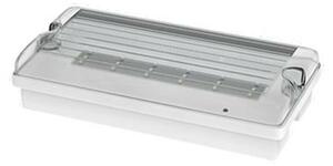 NBB FLAT 12LED Em3h DP/TP IP65 clear + piktogram 910121100