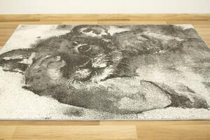 Makro Abra Dětský kusový koberec Lima 9362A Lvíček šedý Rozměr: 160x230 cm