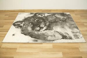 Makro Abra Dětský kusový koberec Lima 9362A Lvíček šedý Rozměr: 160x230 cm
