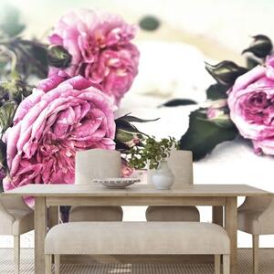 Fototapeta růže v rozkvětu - 450x300 cm