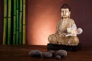 Fototapeta meditující Budha - 150x100 cm