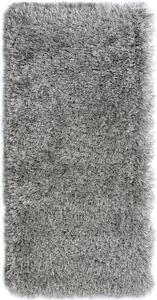 Breno Kusový koberec RHAPSODY 25-01/906, 80x140 cm, Stříbrná