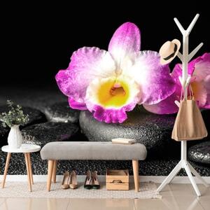 Samolepící fototapeta orchidej na Zen kamenech - 300x200 cm