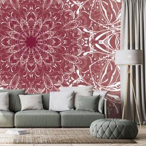 Tapeta růžová rozeta - 300x200 cm