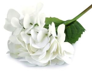 Umělá hortenzie velkokvětá k aranžování - 1 bílá