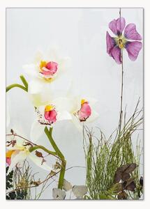 Plakát Botanical Remix 9