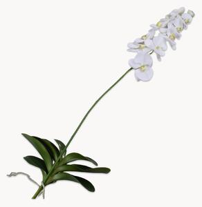 Umělá květina Phalaenopsis