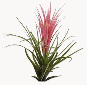 Umělá květina Tillandsia