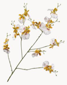 Sada umělých květin Orchid, 2 díly