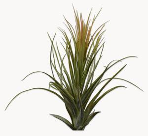Sada umělých květin Tillandsia, 2 díly