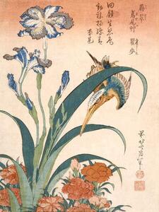 Hokusai, Katsushika - Obrazová reprodukce Kingfisher, (30 x 40 cm)