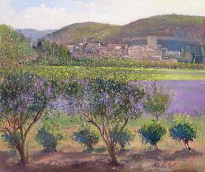 Timothy Easton - Obrazová reprodukce Lavender Seen Through Quince Trees, Monclus, (40 x 35 cm)